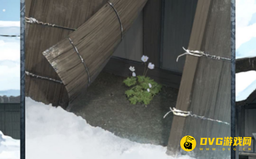 《忘雪》全关卡攻略汇总