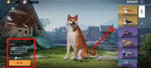 黎明觉醒宠物怎么获得 宠物领养获取攻略[多图]图片3