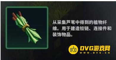 《莱恩岛生存指南》纤维怎样获得-纤维哪里多