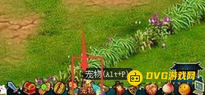图片.png