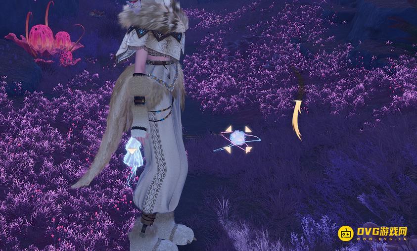 《无限暖暖》伊地峡谷西侧传送点附近圆球奇想星怎么拿-触碰以后有个圈奇想星是什么