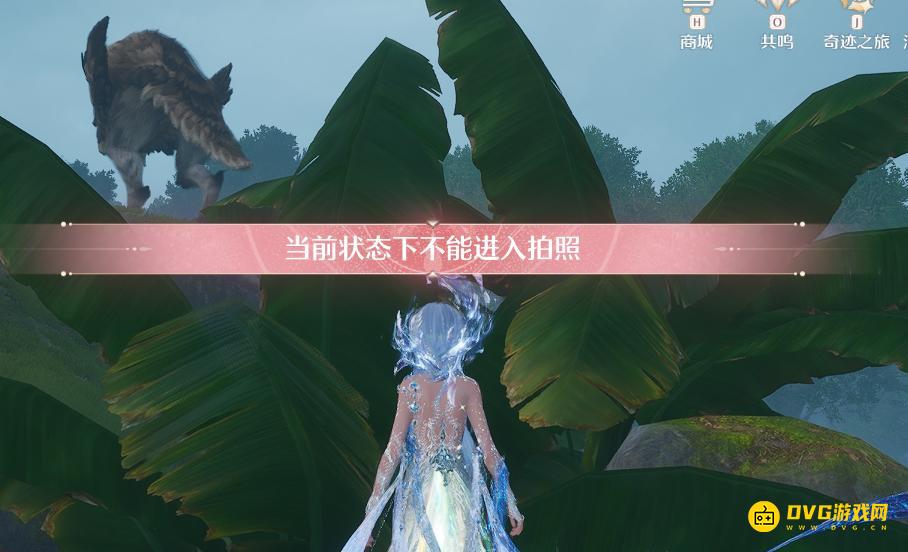 《无限暖暖》当前状态下不能进入拍照是怎么回事-提示当前状态下不能进入拍照