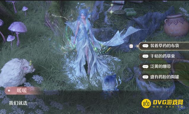 《无限暖暖》我们就选选什么好-选择药材选什么好正确选项