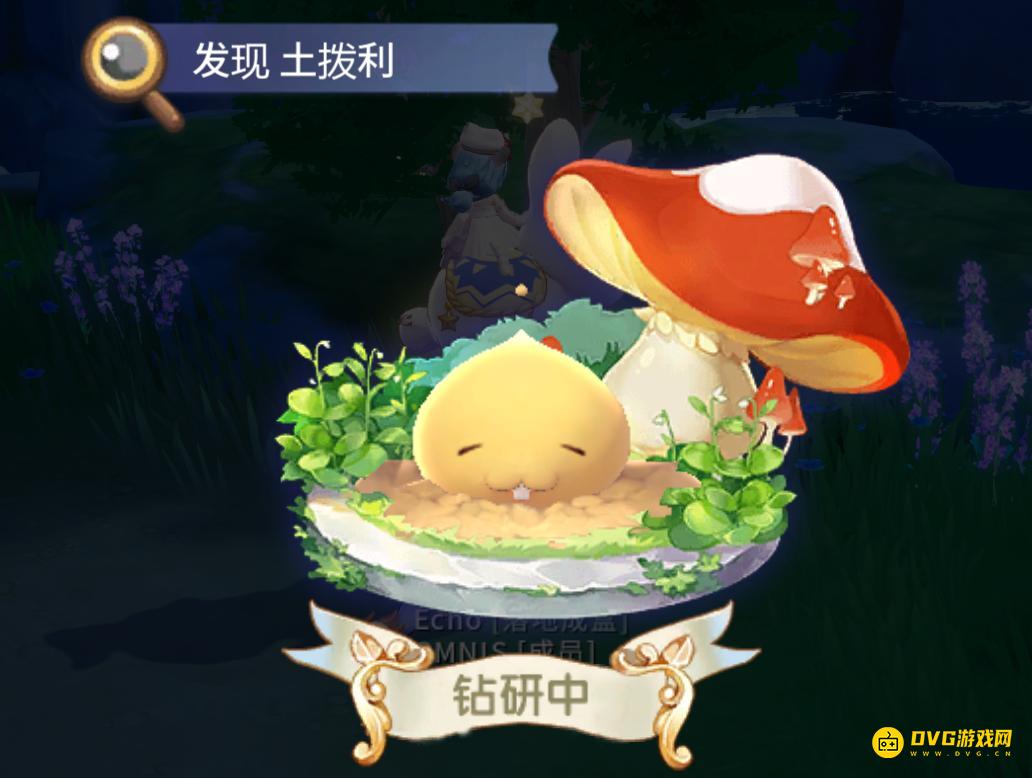 《RO仙境传说爱如初见classic》土拨利在哪里-波利观察手册土拨利位置大全