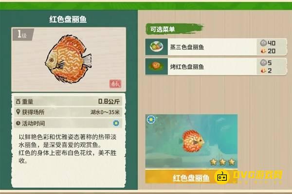 《潜水员戴夫》红色盘丽鱼在哪里钓-丛林DLC红色盘丽鱼图鉴钓鱼点钓鱼时间方法