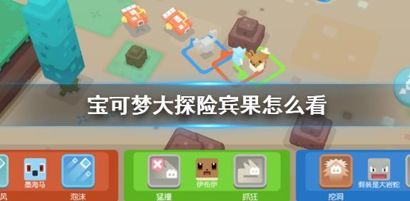 《宝可梦大探险》宾果怎么样