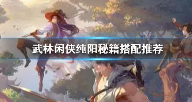《武林闲侠》纯阳秘籍怎么选