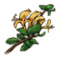 《烟雨江湖》金银花获取方式-烟雨江湖金银花介绍