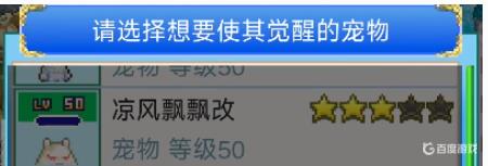 《大航海探险物语》宠物怎么觉醒？