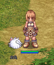 疯兔.jpg