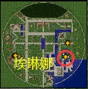 埃琳娜.jpg