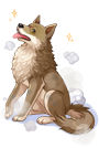 pet_desert_wolf.jpg