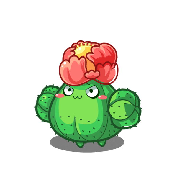 蹦蹦草