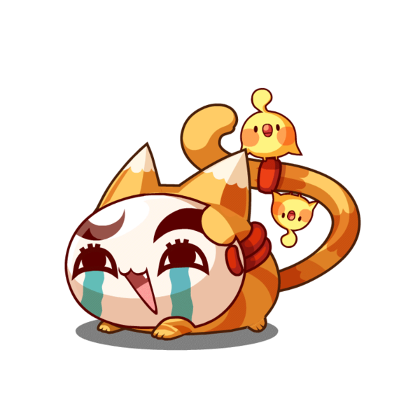 哭面猫