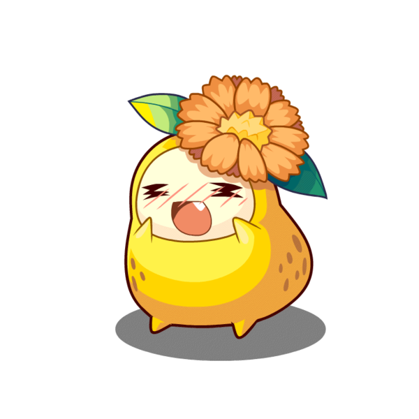 菊花梨