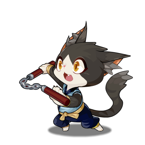 功夫猫