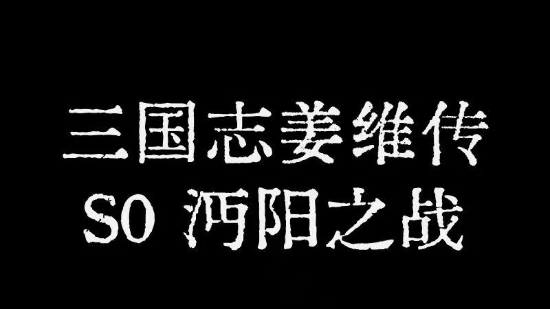 《三国志姜维传》 S0 沔阳之战