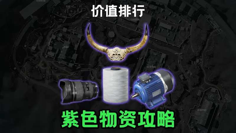 紫色物资价值拾取攻略排行