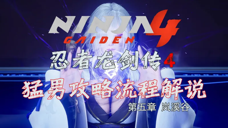随义【忍者龙剑传4】第五章 岚溪谷 猛男全收集攻略流程解说