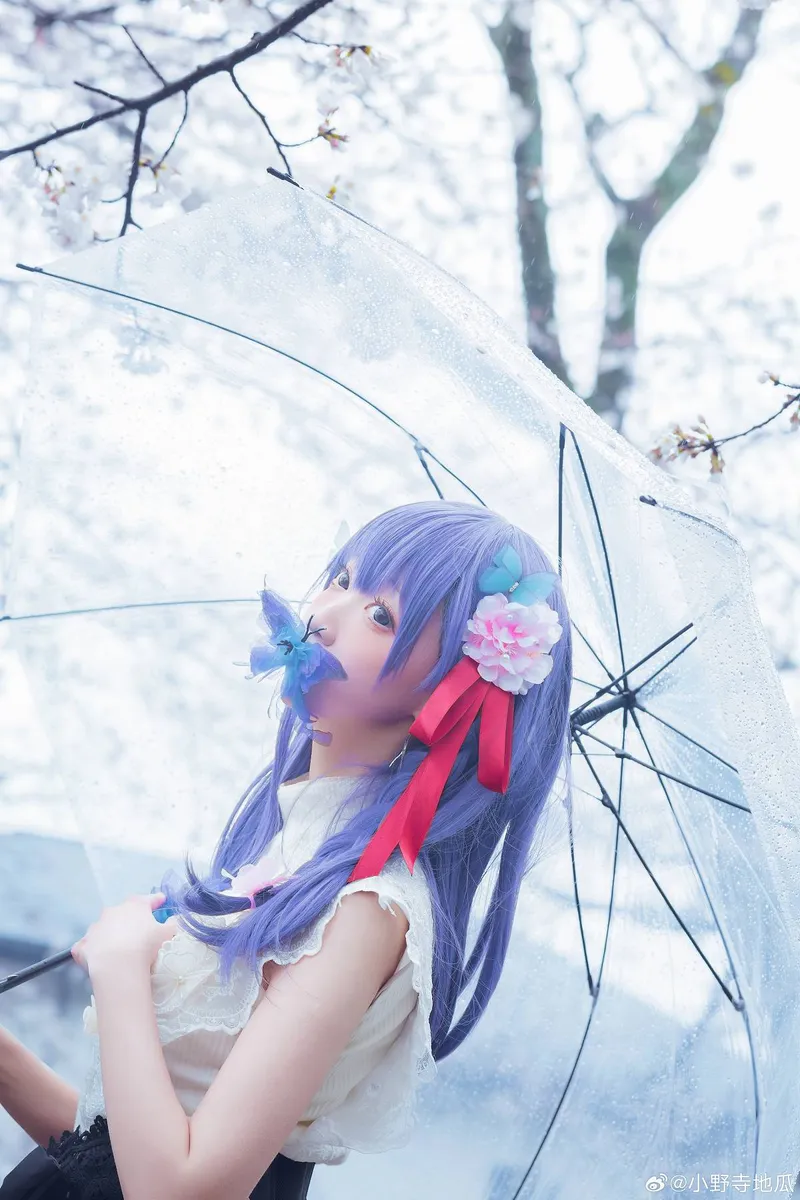 《Fate/staynight》间桐樱cosplay展示