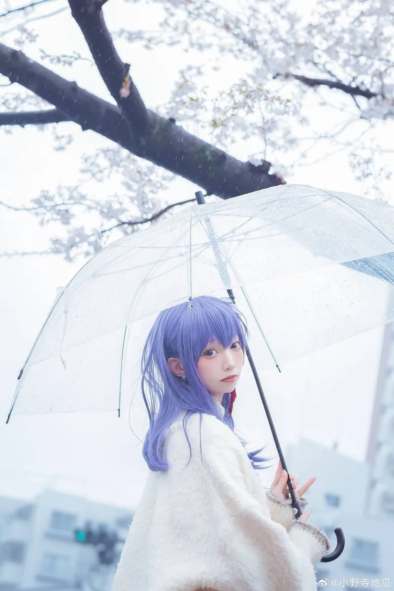《Fate/staynight》间桐樱cosplay展示