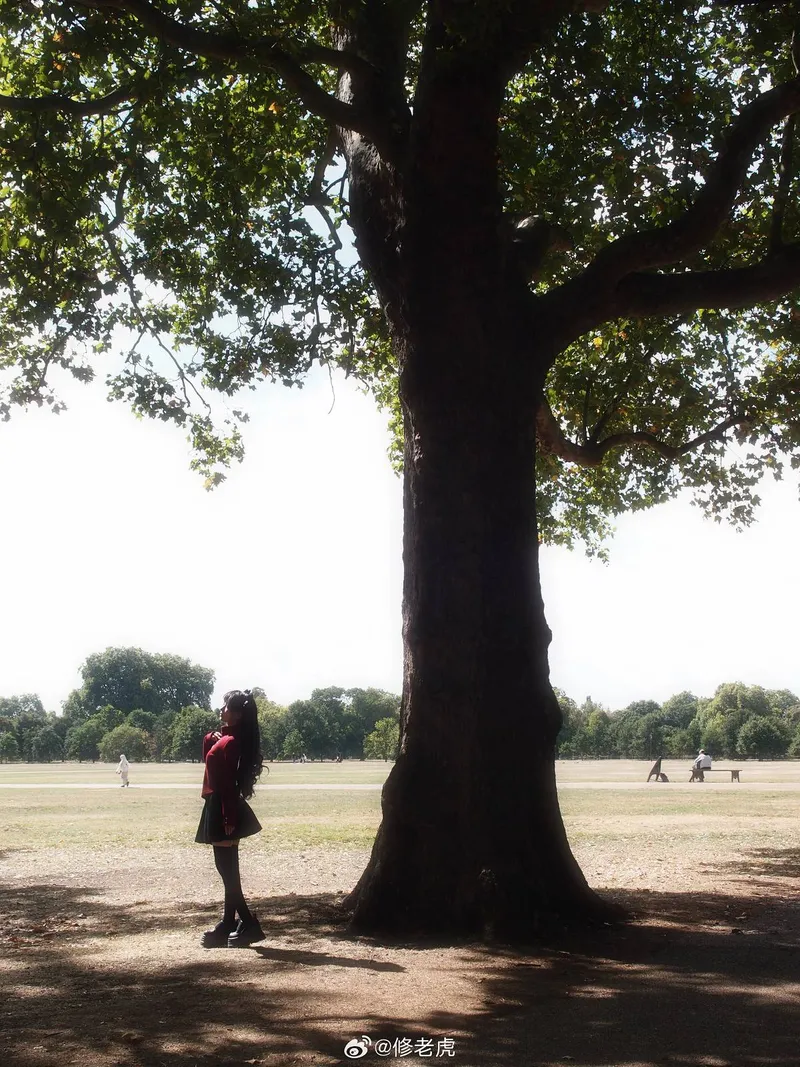 《Fate/staynight》远坂凛cosplay展示