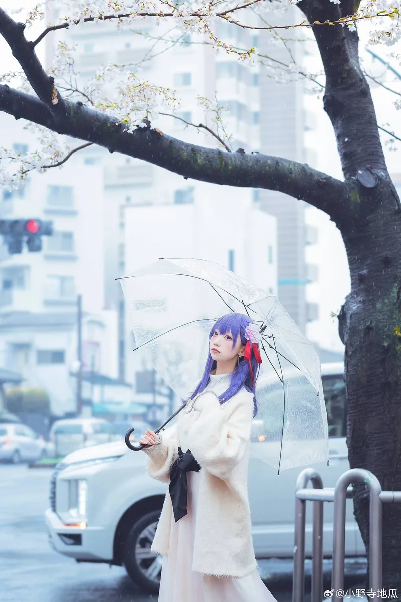 《Fate/staynight》间桐樱cosplay展示