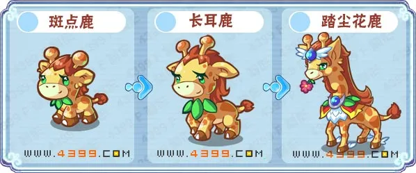 《卡布西游》踏尘花鹿获取攻略