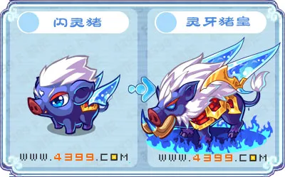 卡布西游灵牙猪皇在哪怎么得-要点汇总