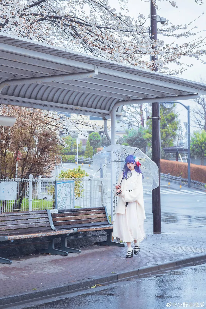 《Fate/staynight》间桐樱cosplay展示