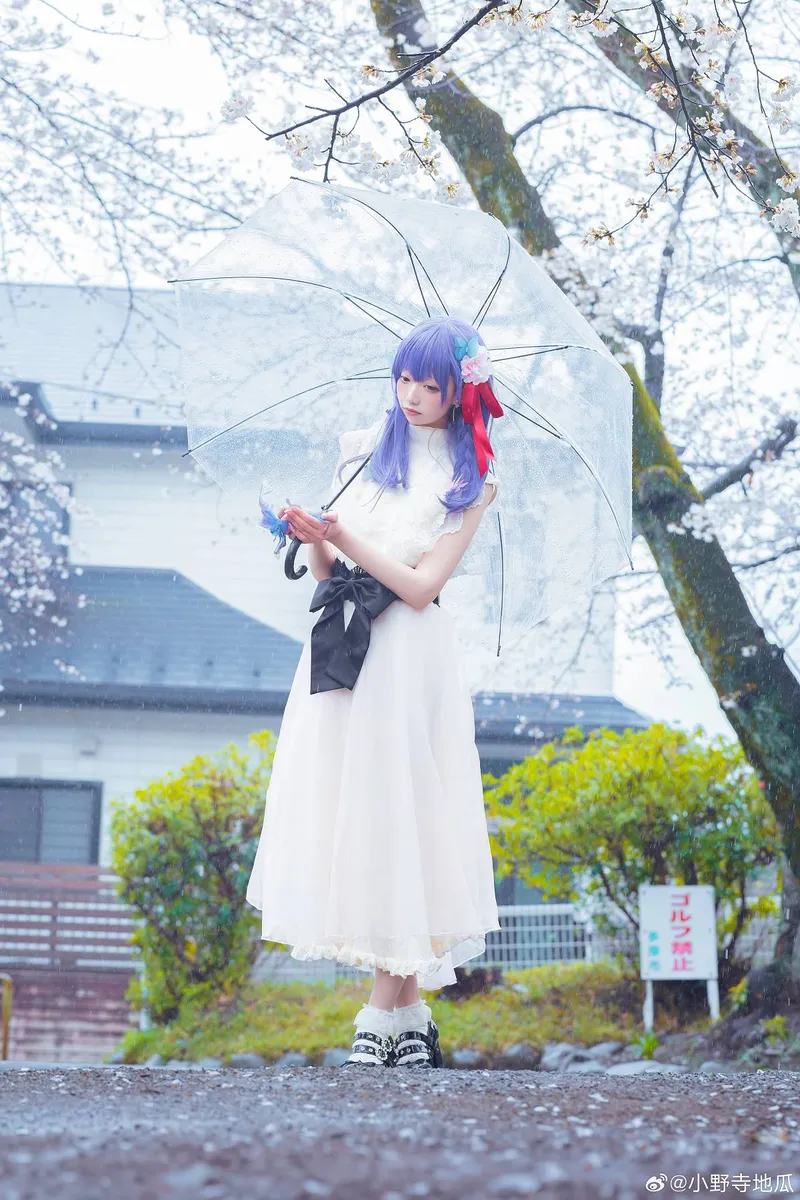 《Fate/staynight》间桐樱cosplay展示