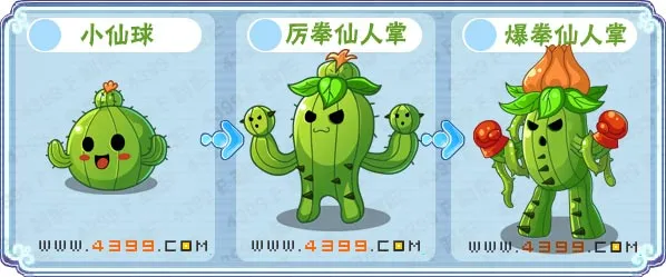 《卡布西游》爆拳仙人掌位置与捕捉方法详解