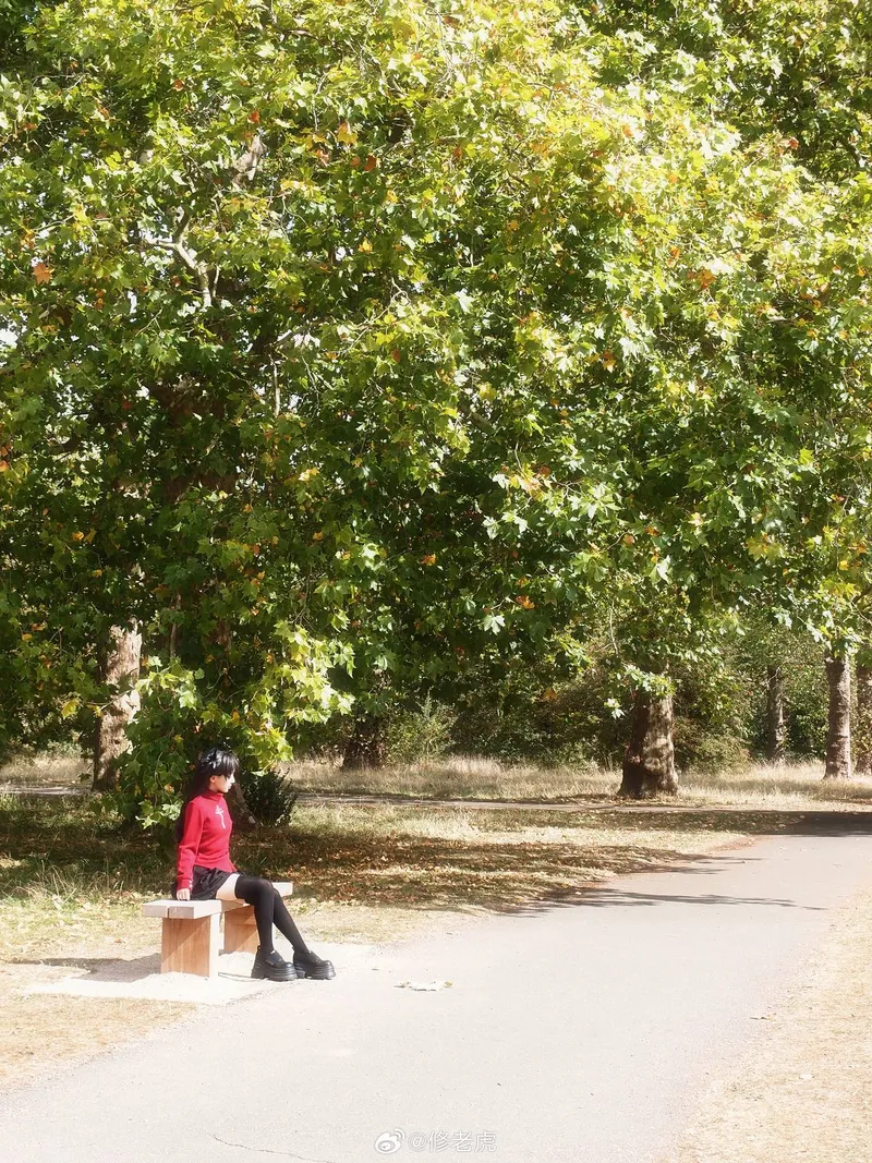 《Fate/staynight》远坂凛cosplay展示