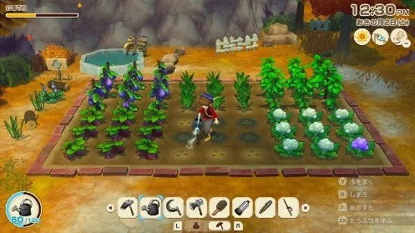 《符文工房龙之天地》与《牧场物语来吧!风之繁华集市》同步特卖