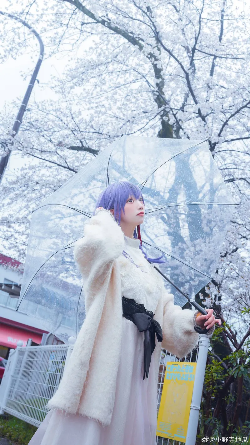 《Fate/staynight》间桐樱cosplay展示