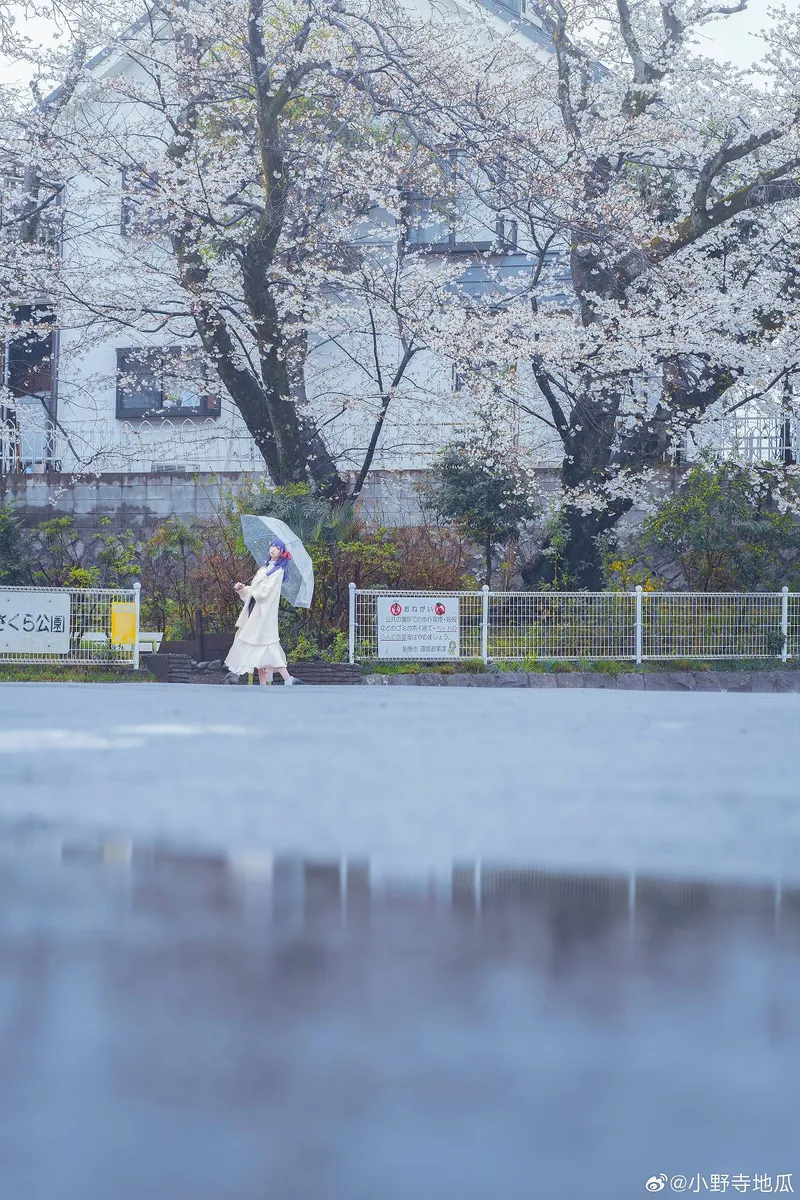 《Fate/staynight》间桐樱cosplay展示