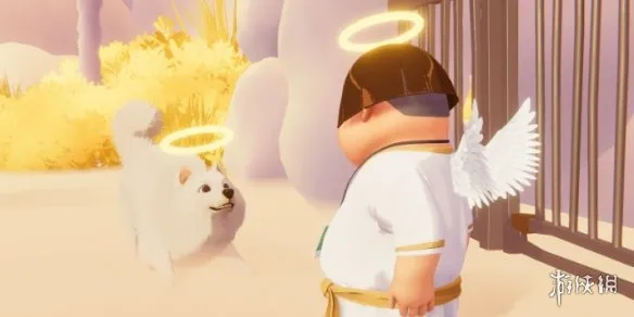 《我的小柯基》售价介绍