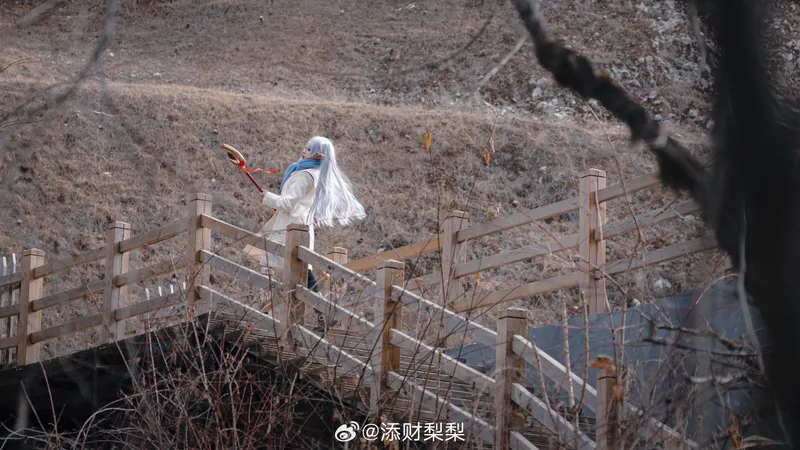 《葬送的芙莉莲》芙莉莲cosplay展示