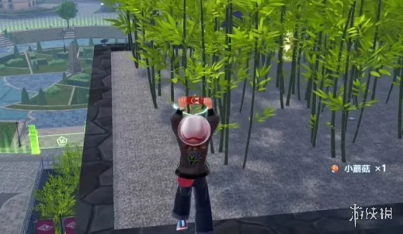 《宝可梦传说ZA》龙之波动技能位置详解