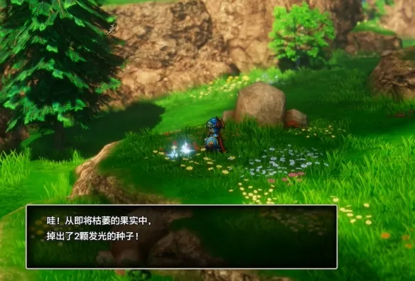 《勇者斗恶龙1重制版》妖精的隐居之乡到秘密花田路线详解