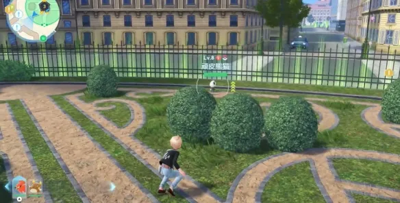 《宝可梦传说ZA》顽皮熊猫位置与进化介绍