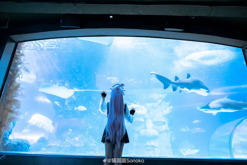 《蔚蓝档案》小鸟游星野cosplay展示-精美角色还原