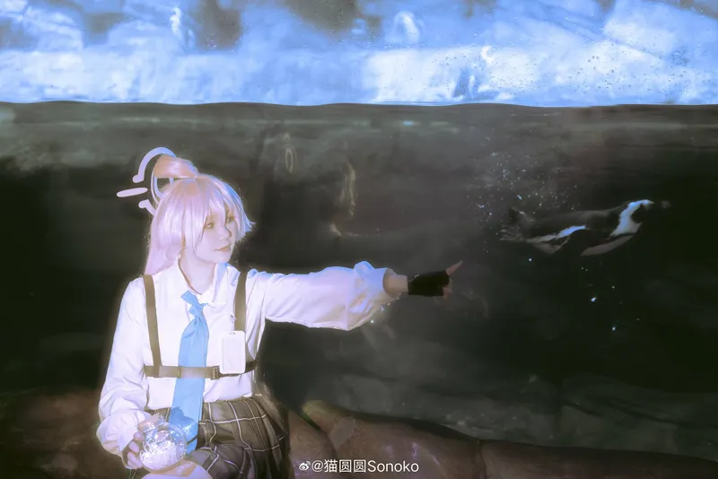 《蔚蓝档案》小鸟游星野cosplay展示