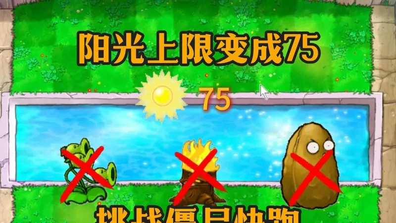 阳光上限变成75，挑战僵尸快跑不丢车通关