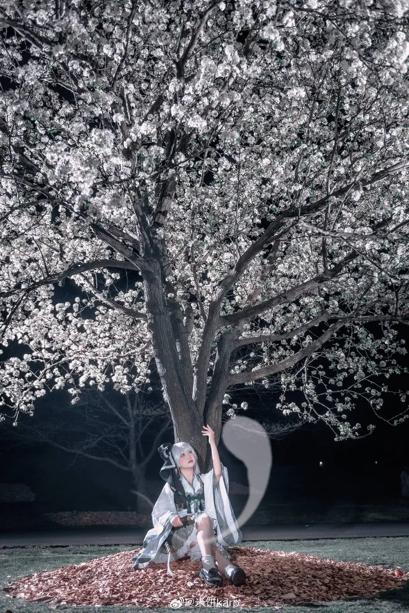 《东方Project》魂魄妖梦Cosplay展示