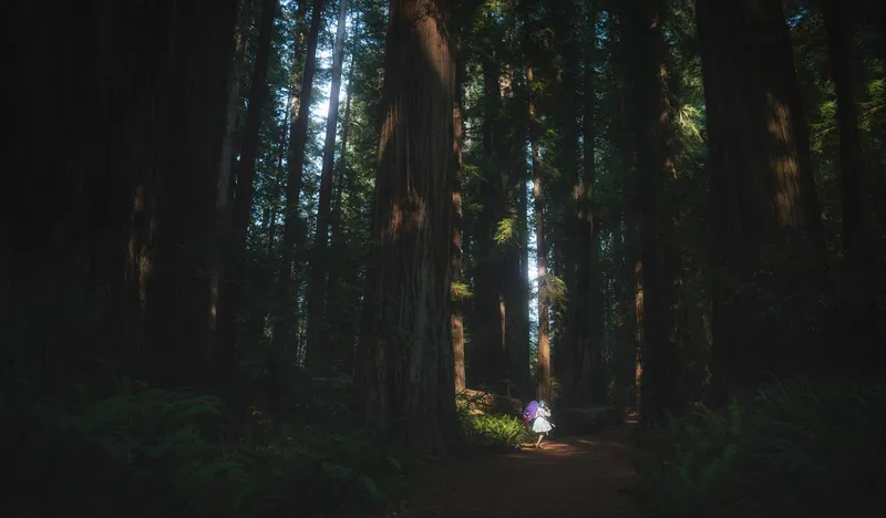 《东方project》多多良小伞cosplay展示