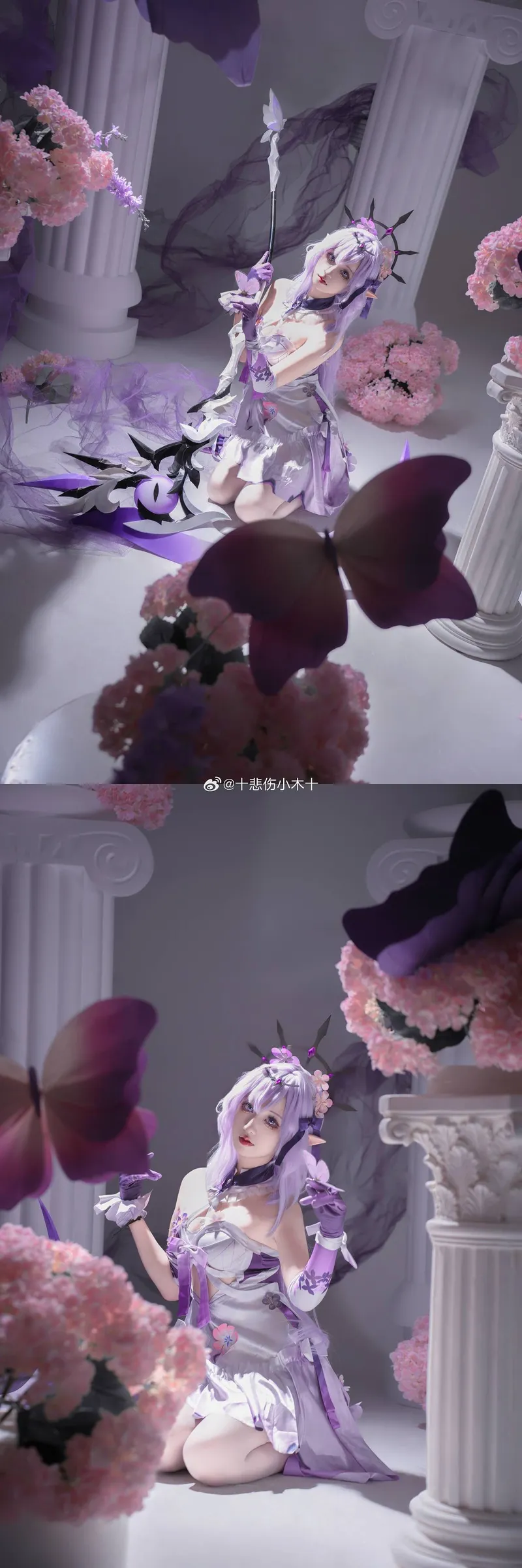 《崩坏·星穹铁道》遐蝶cosplay展示