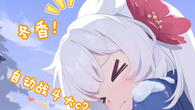 冬香测评！你是否在寻找一位自动大c？