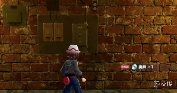 《宝可梦传说：Z