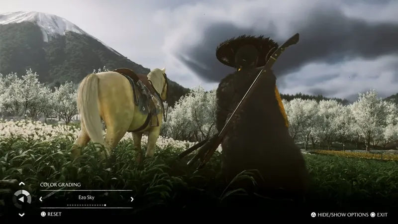 《羊蹄山之魂》11月24日大更新